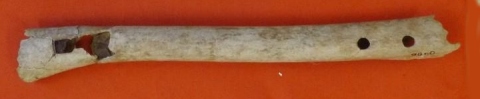 13th century bone