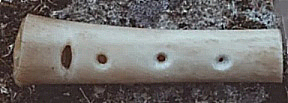 reindeer bone pipe