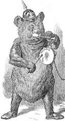 1891