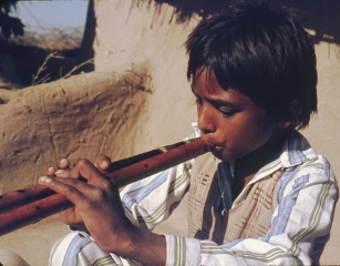 1976