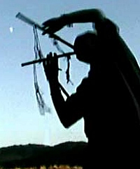 2006