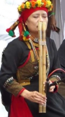 2017 music festival
