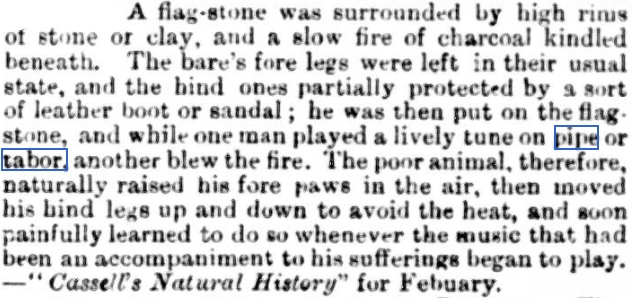 1872 bear training
