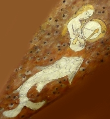 medieval mermaid